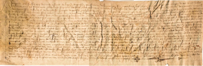 1429_Penaultier_2.jpg