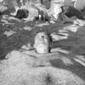 Theatre 1954 030